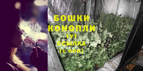 гидра Арсеньев