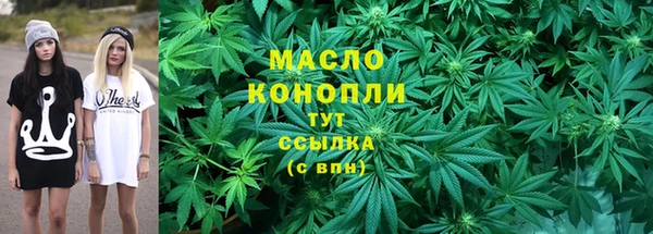 гидра Арсеньев