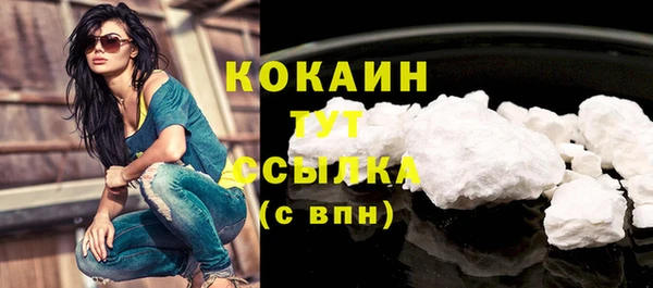 гидра Арсеньев