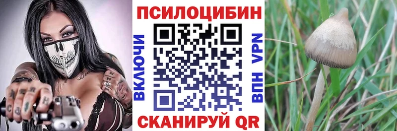 сколько стоит  Лабытнанги  OMG маркетплейс  сайты даркнета состав  Псилоцибиновые грибы Cubensis 